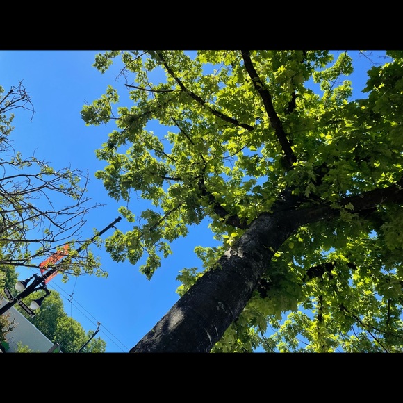 Meet your Posher, Michelle - Picture 1 of 1